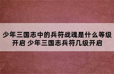 少年三国志中的兵符战魂是什么等级开启 少年三国志兵符几级开启